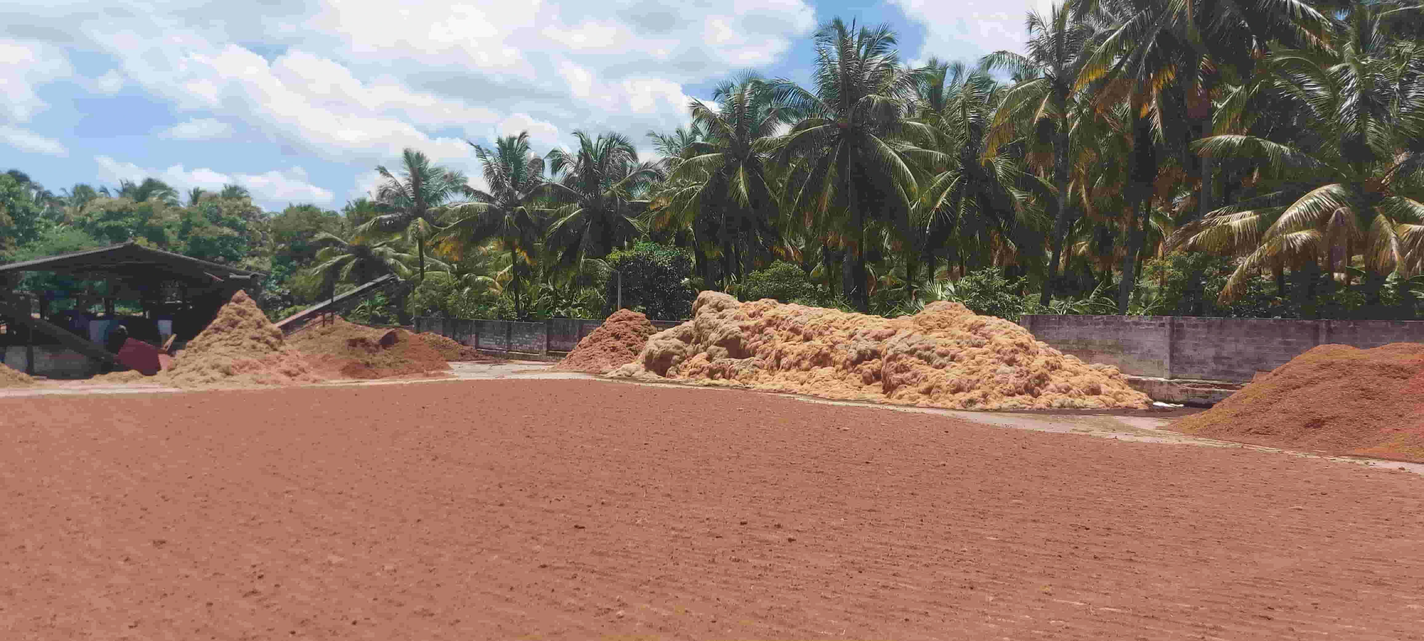 Best Coco Coir Disc Manufacturer