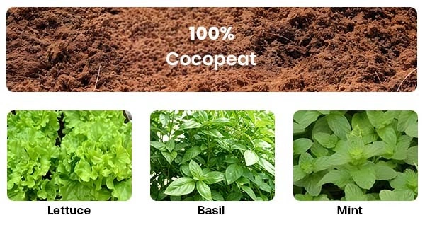 Coco Coir Grow Bags Manufacturer & Exporter