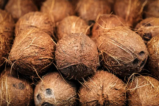 Indian Fresh Pollachi Coconut Wholesalers